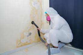 Best Biohazard Mold Removal in Elim, PA